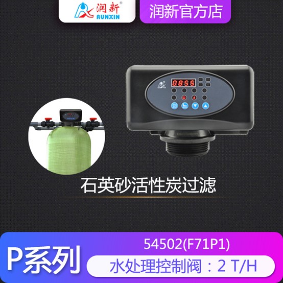 全自动过滤阀 F71P1