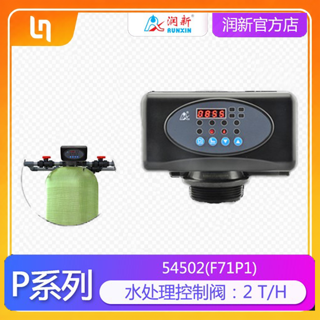 全自动过滤阀 F71P1